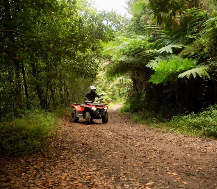 Madeira: Aventura Off-Road de ATV ou Quad - Adrenalina - Starting at Caminho da Chã