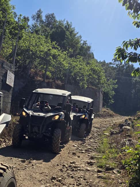 Madeira: Can-Am Off-Road Buggy Guided Adventure - From Quinta Grande’s rural tracks to the hills