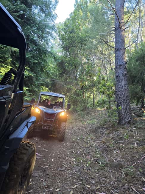 Madeira: Can-Am Off-Road Buggy Guided Adventure - Forest roads, rough ground, and the right amount of adrenaline