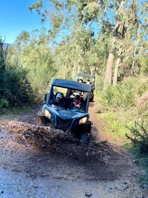 Madeira: Half-Day Off-Road Buggy Tour - Key points to know before booking
