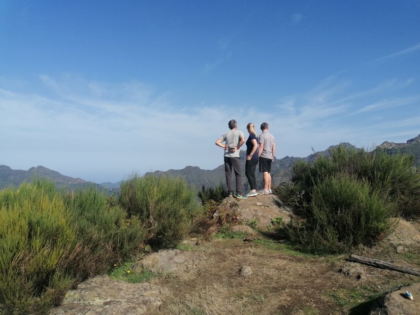 Madeira: Half-Day Off-Road Buggy Tour - A short break for poncha, coffee, or a snack