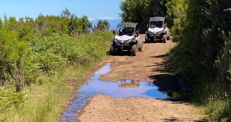 Madeira: Half-Day Off-Road Buggy Tour - How difficult is the driving?