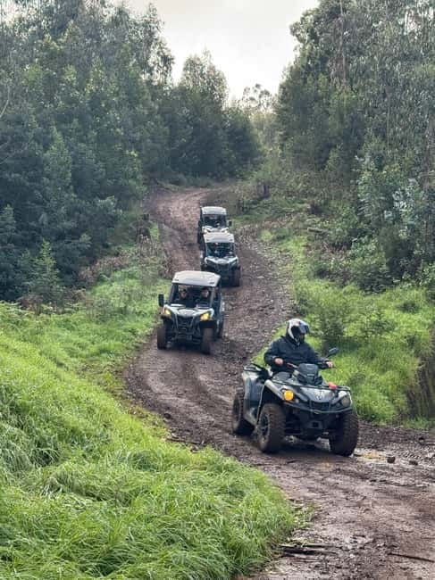Madeira: Half-Day Off-Road Buggy Tour - Pickup from Funchal and the start of the tour