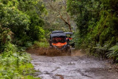 Madeira: Off-Road Buggy Adventure Through Laurissilva Forest
