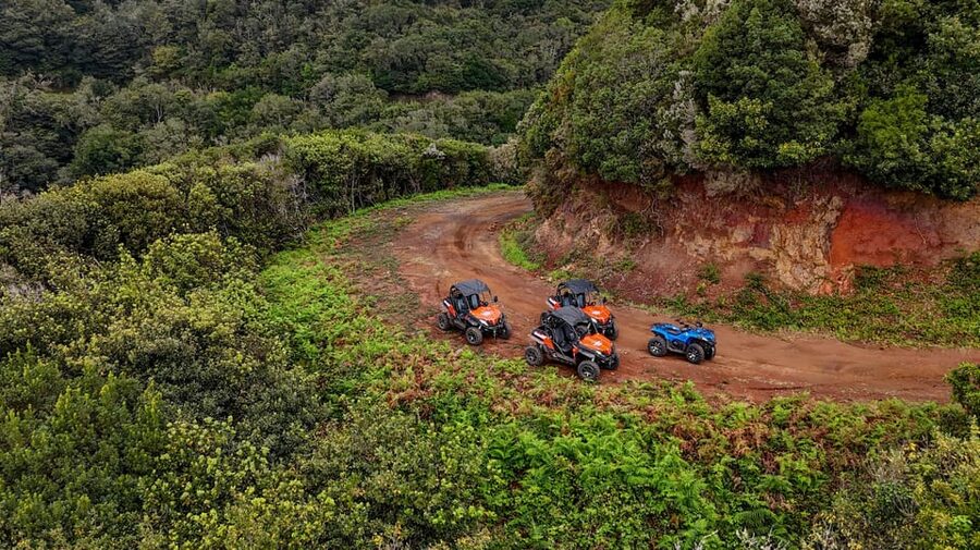Madeira: Off-Road Buggy Adventure Through Laurissilva Forest - Boca do Risco delivers the payoff