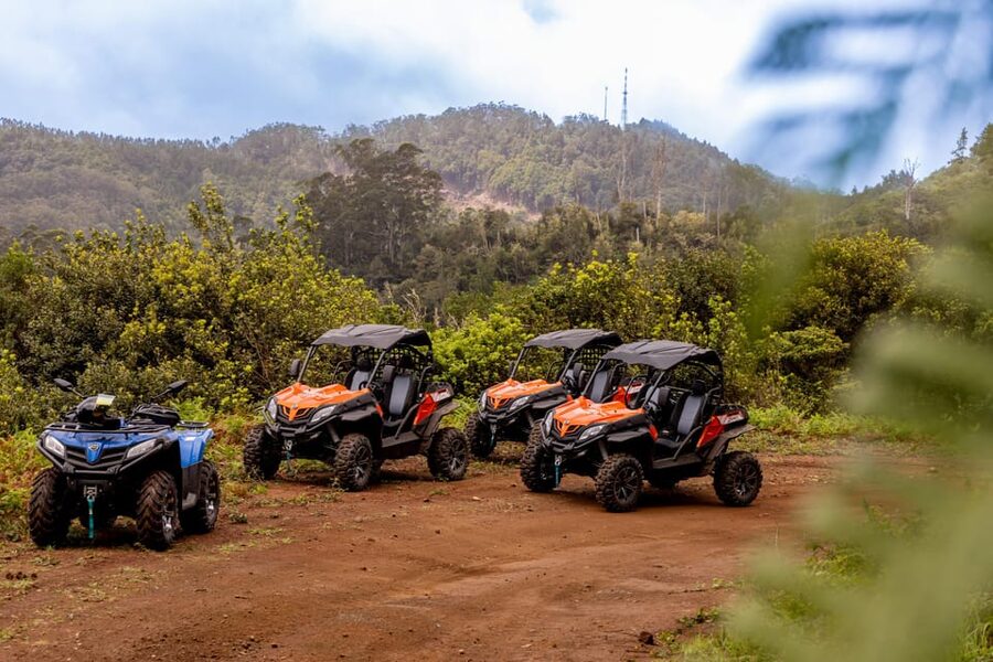 Madeira: Off-Road Buggy Adventure Through Laurissilva Forest - How challenging is the driving?