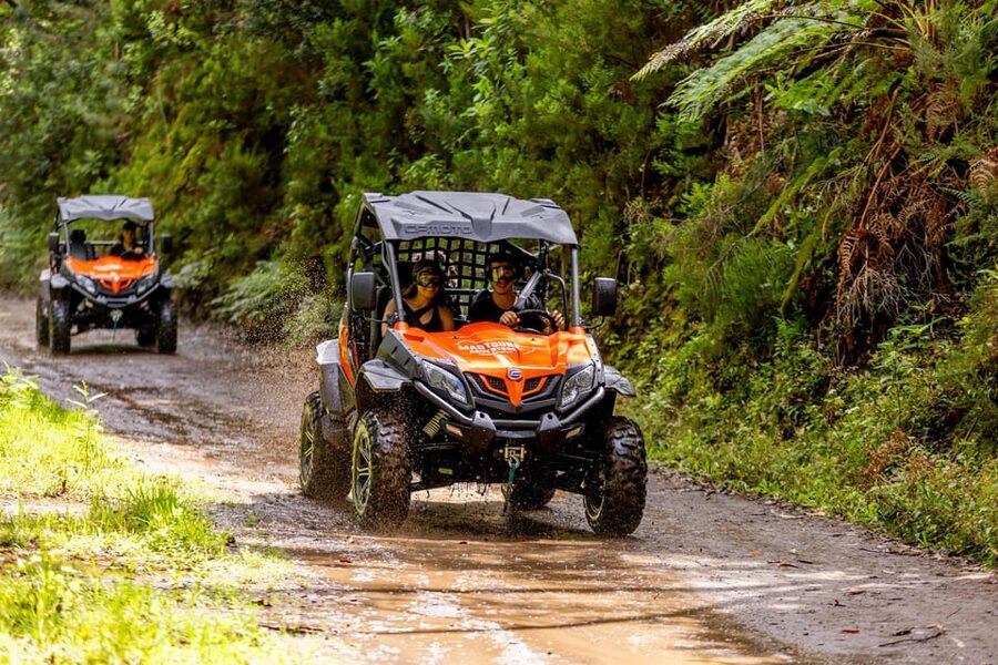 Madeira: Off-Road Buggy Adventure Through Laurissilva Forest - What the $147 price means for two people
