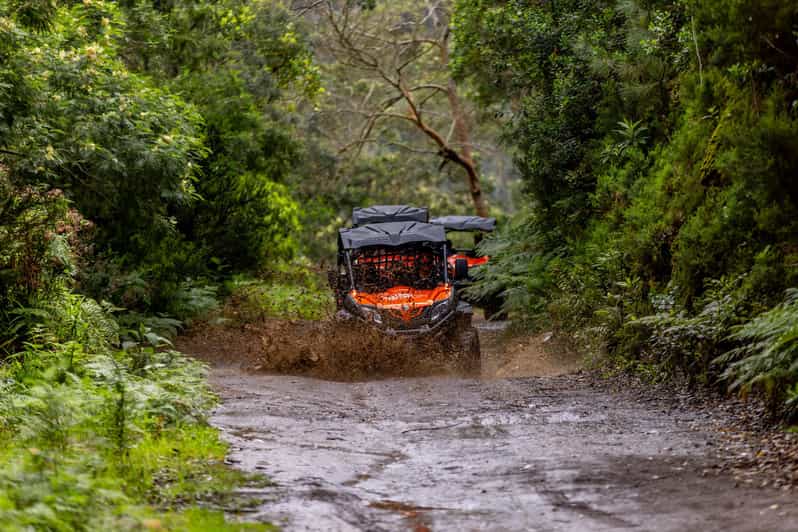 Madeira: Off-Road Buggy Adventure Through Laurissilva Forest - Starting at MadTours Adventure with a proper safety briefing