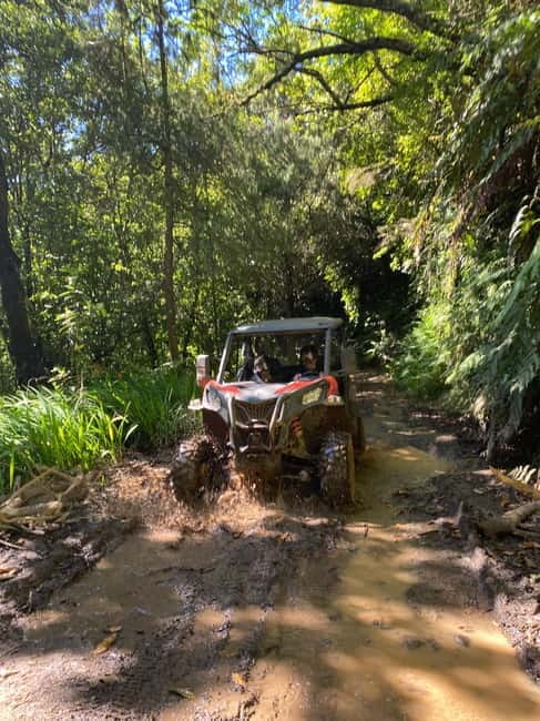 Madeira: Off-Road Buggy Driving Experience - Key points to know before booking