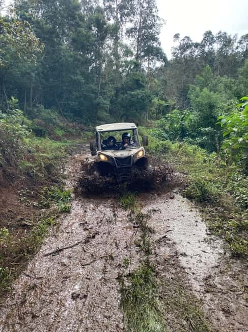 Madeira: Off-Road Buggy Driving Experience - Should you book this Madeira buggy tour?