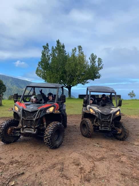 Madeira: Off-Road Buggy Driving Experience - Why the Laurisilva forest makes this ride different