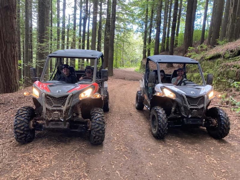Madeira: Off-Road Buggy Driving Experience - The stops are about views, quiet, and access