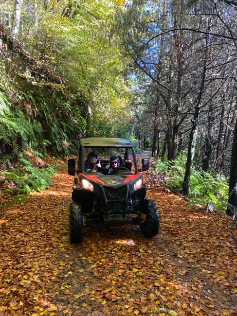 Madeira: Off-Road Buggy Driving Experience - Mud, rain, and what to wear