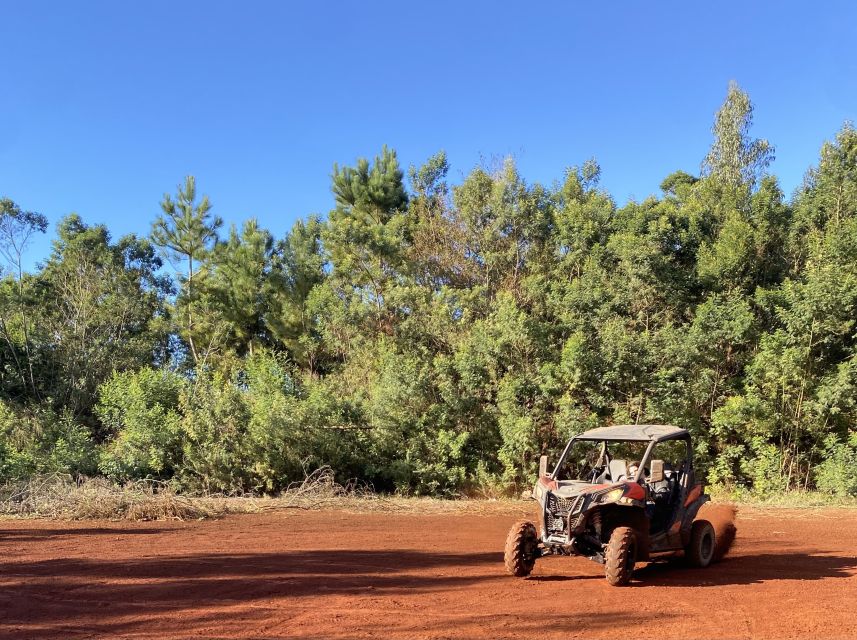 Madeira: Off-Road Buggy Driving Experience - Who will enjoy this most