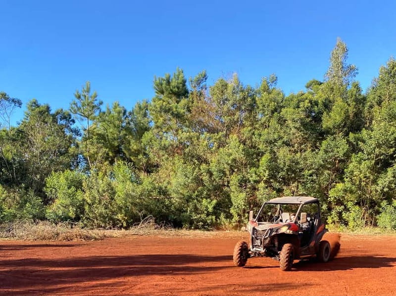 Madeira: Off-Road Buggy Driving Experience - Languages, meeting point, and practical planning