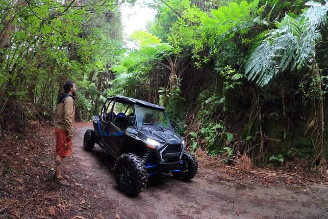 Madeira Private Buggy Adventure: Forest and Mountains - Why this Madeira buggy tour is different