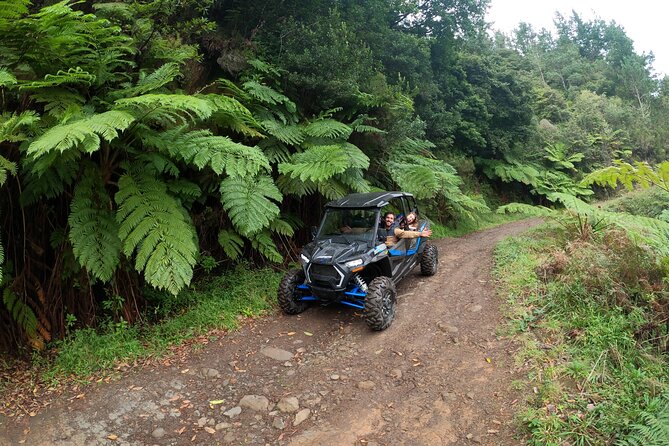 Madeira Private Buggy Adventure: Forest and Mountains - Starting in Funchal and getting ready to drive