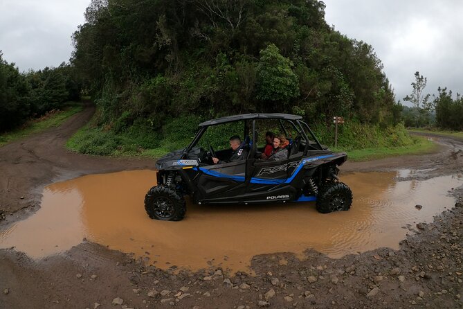 Madeira Private Buggy Adventure: Forest and Mountains - The balance between excitement and safety