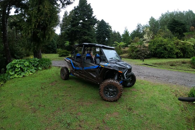 Madeira Private Buggy Adventure: Forest and Mountains - GoPro photos and videos included
