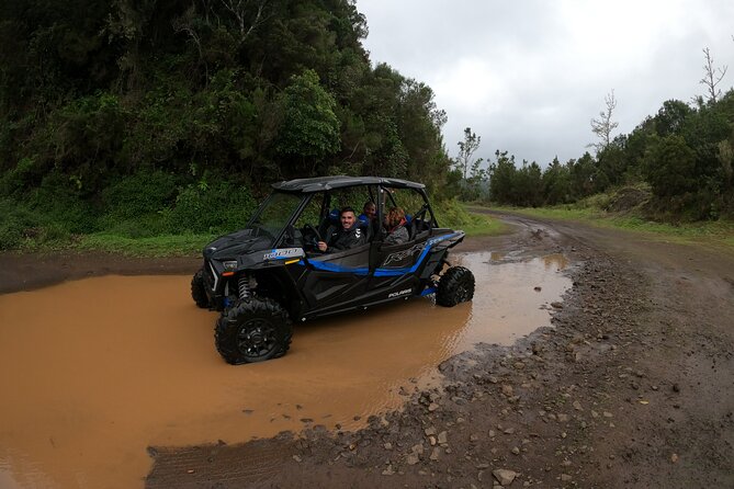 Madeira Private Buggy Adventure: Forest and Mountains - Is $111.02 good value?