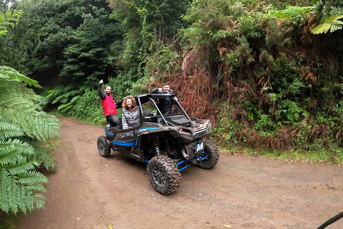 Madeira Private Buggy Adventure: Forest and Mountains - Who will enjoy this most?