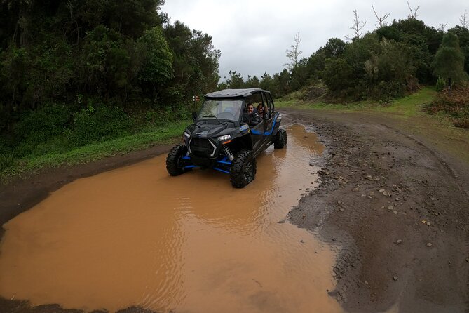 Madeira Private Buggy Adventure: Forest and Mountains - Practical details that can affect your day