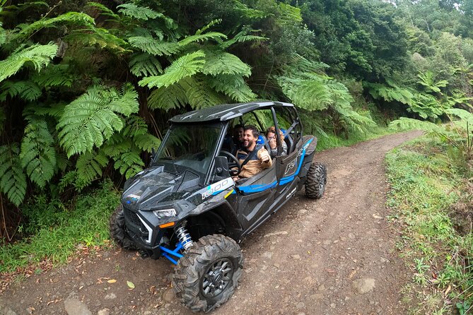 Madeira Private Buggy Adventure: Forest and Mountains - Laurissilva Forest and Madeira’s mountain tracks