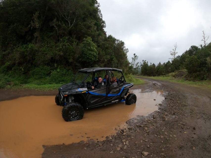 Madeira Private Buggy Adventure: Mountains and Forests - Is $212 good value for a private group?