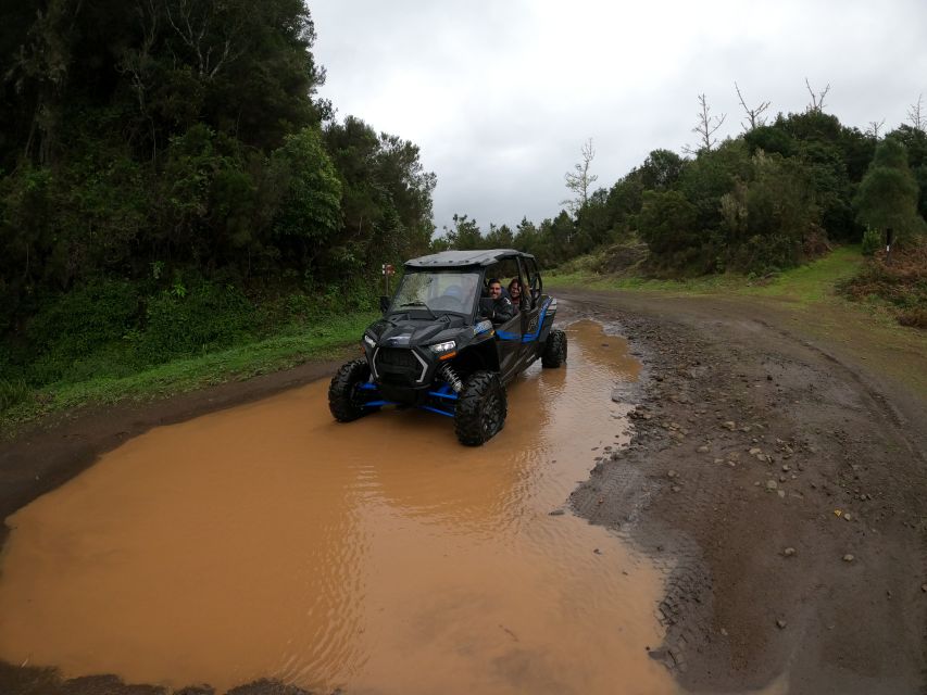 Madeira Private Buggy Adventure: Mountains and Forests - From Funchal to Madeira’s mountain roads