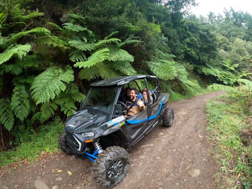 Madeira Private Buggy Adventure: Mountains and Forests - Pico do Suna and Lamaceiros Lagoon