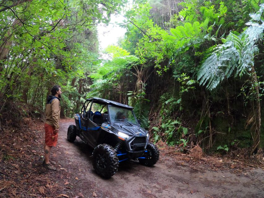 Madeira Private Buggy Adventure: Mountains and Forests - Portela Viewpoint and Penha d’Águia