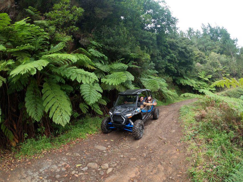 Madeira Private Buggy Adventure: Mountains and Forests - The Serra das Funduras forest road