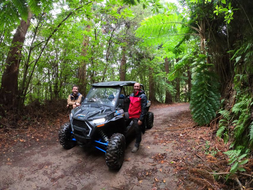 Madeira Private Buggy Adventure: Mountains and Forests - Santo da Serra and the return to Funchal