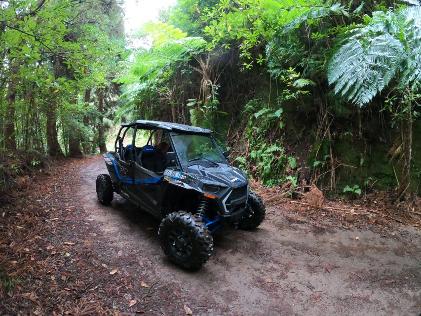 Madeira Private Buggy Adventure: Mountains and Forests - What it is like to drive the Polaris RZR XP4