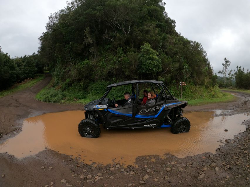 Madeira Private Buggy Adventure: Mountains and Forests - Who will get the most from this tour