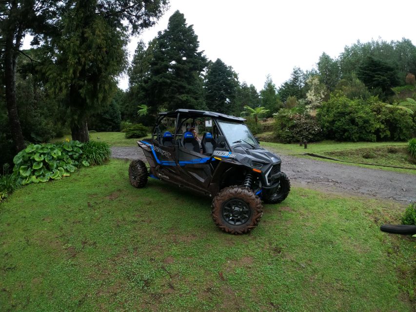 Madeira Private Buggy Adventure: Mountains and Forests - Pico Alto and Poiso: the first mountain views