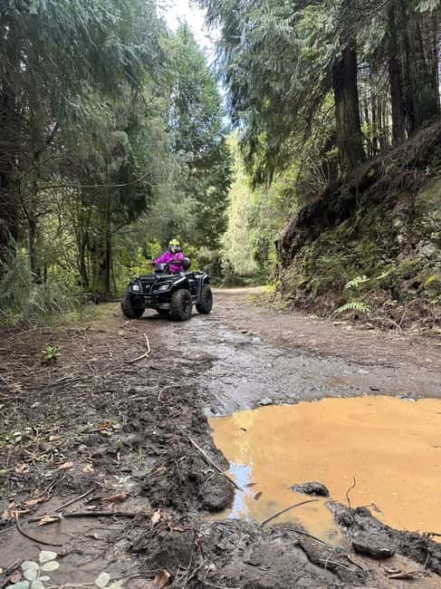 Madeira:Private Mountain Quad Adventure–Explore Wild Madeira - Boca das Voltas and the mountain views