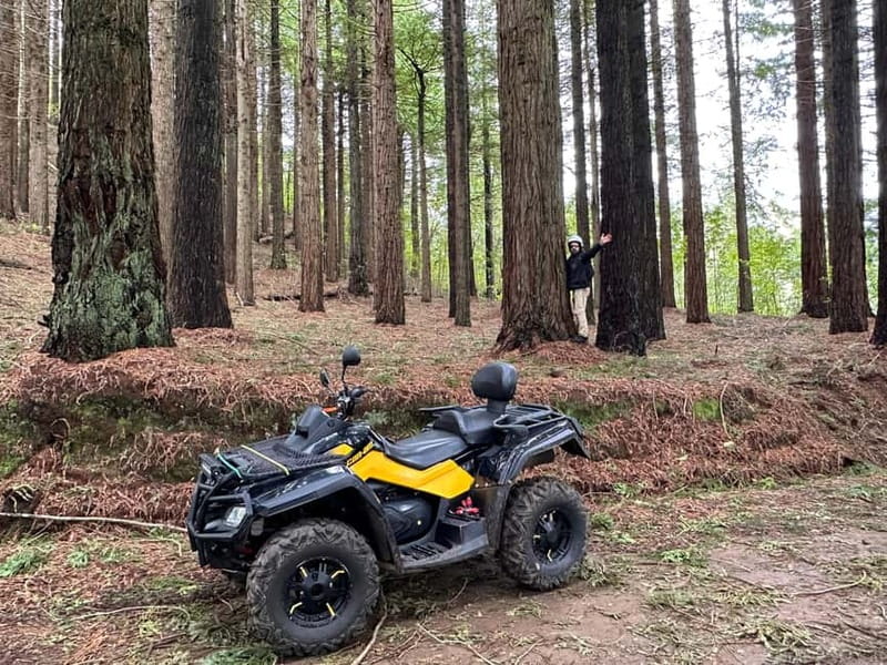 Madeira:Private Mountain Quad Adventure–Explore Wild Madeira - What the two hours feel like