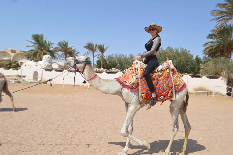 Makadi Bay: ATV, Sea View, Camel, Stargazing, Dinner & Show - Photo stops in the desert and by the coast