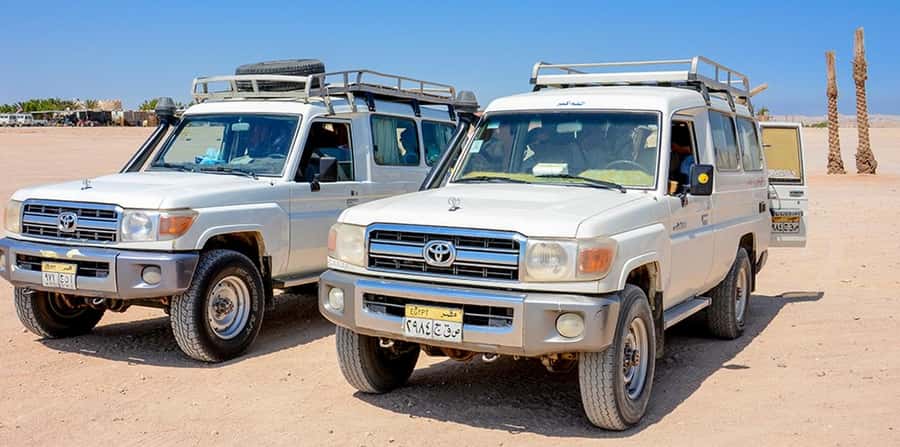 Makadi Bay: Mega Tour Jeep, ATV, Buggy, Camel, Dinner & Show - The Bedouin village and camel ride