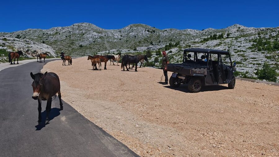 Makarska: Buggy Skywalk and Biokovo Tour - What to bring and who should book