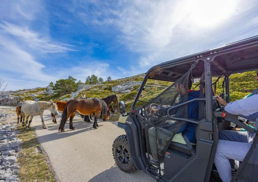 Makarska: Buggy Skywalk and Biokovo Tour - Pickup in Makarska and the climb into Biokovo