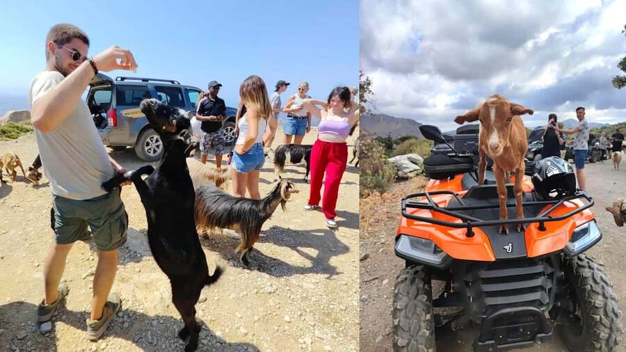 Malia: Off-Road Quad Safari Tour with Lunch and Transfers - Key points to know before booking
