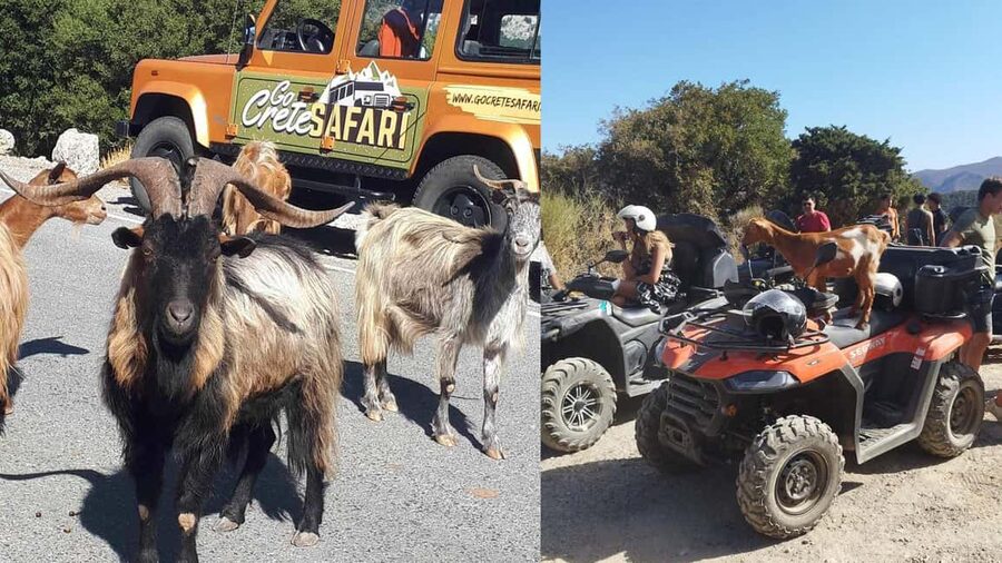 Malia: Off-Road Quad Safari Tour with Lunch and Transfers - Why this quad safari works well from Malia