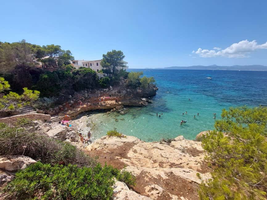 Mallorca: Buggy Tour Adventure with Cove Swimming - Is it suitable for families and first-time drivers?