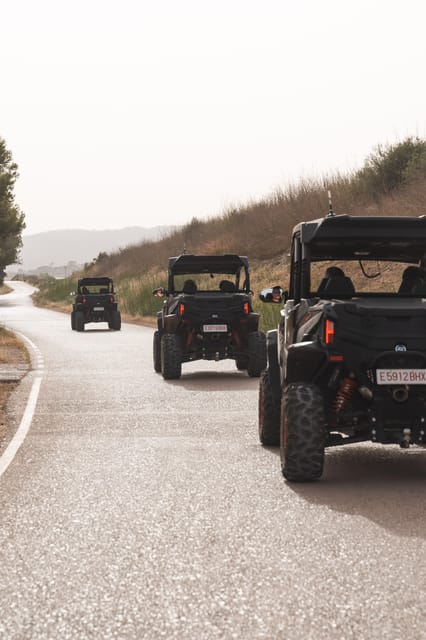 Mallorca: Mountain Buggy Adventure with Secret Coves Tour - Price, insurance, and the real cost