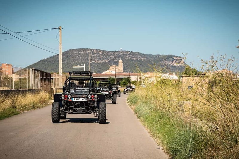 Mallorca: On Road Buggy Tour + Panorama View + Snorkeling - Who will enjoy this Mallorca outing most