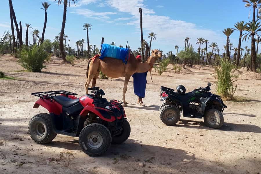 Marrakech: 2-Hour Quad Bike & Camel Ride in Palmeraie - The camel ride through the Palmeraie
