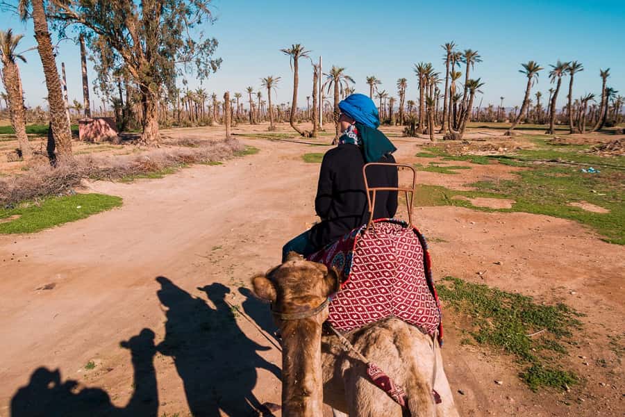 Marrakech: 2-Hour Quad Bike & Camel Ride in Palmeraie - Pickup from Marrakech and the ride to the palms