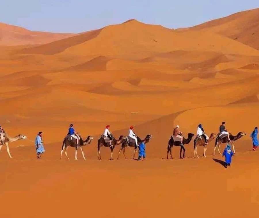 Marrakech: 3-day Exclusive Desert Luxury Tour; Quad & Camels - A night under the stars, with two camp choices